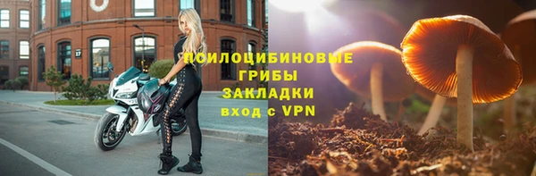 винт Нея