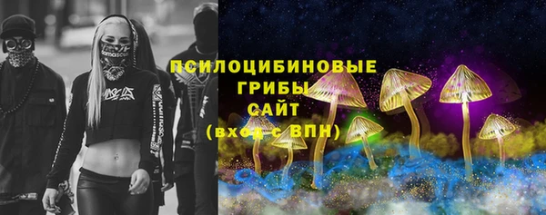 дживик Алексин