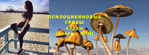 дживик Алексин
