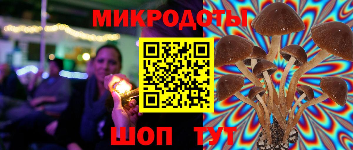 Псилоцибиновые грибы прущие грибы Рубцовск