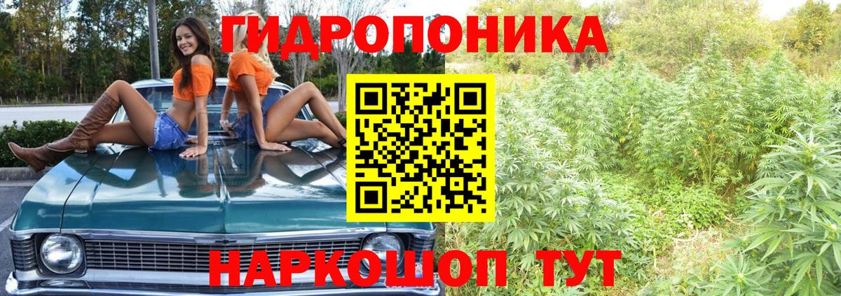 Меф   Рубцовск  Cocaine  Кодеин  Вход с VPN  Бошки Шишки  ГАШ  ЭКСТАЗИ 